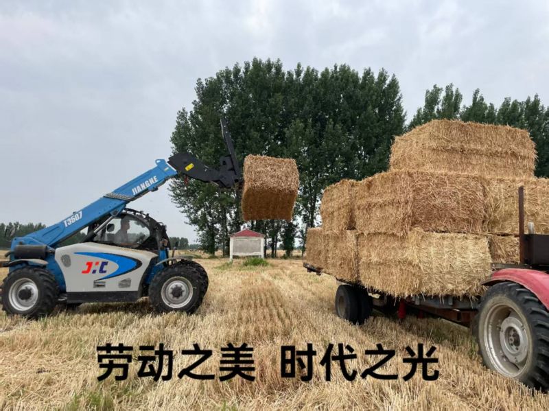 劳动之美 时代之光